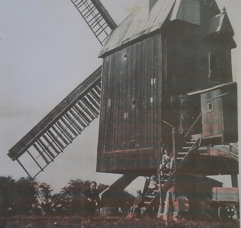 Ansichtsfoto der Osterweddinger Bockwindmühle aus der Mitte der 20er-Jahre Foto: René Adam 