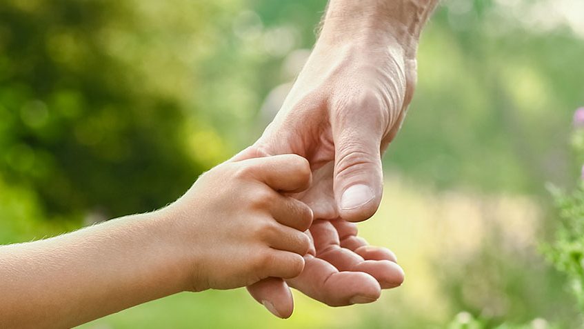 Hände von Eltern und Kind in der Natur